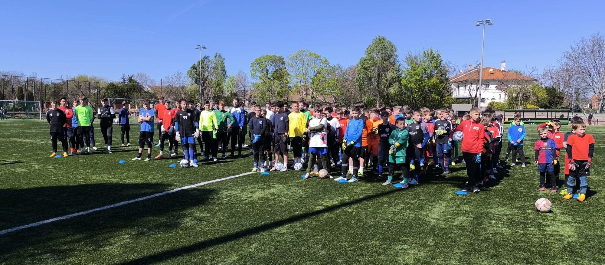 Kapusok Viadala Budafok